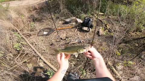 great fishing video