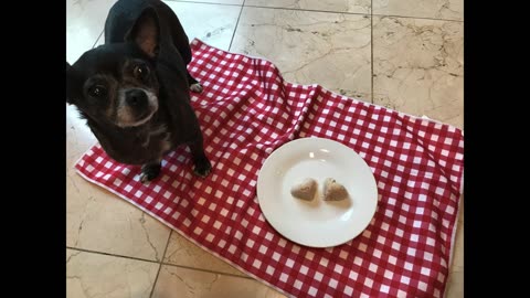 Homemade Peanut Butter Banana Yogurt Ice Cream Dog Treat