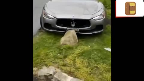 EPIC SUPERCAR FAILS