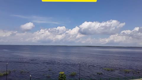 shore over the black river in manaus