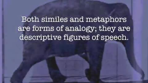 Analogies, Metaphors, and Similes