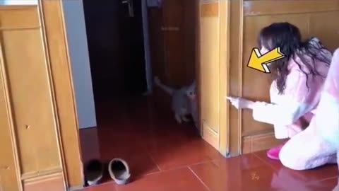 Cute and funny kittys!