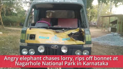 Angry elephant chases lorry, rips off bonnet