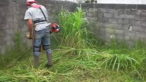 grass cutting machine cutting grass v fastily around the homes