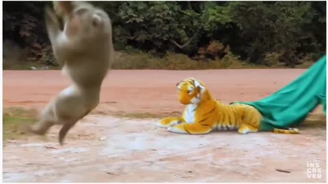 😲 Prank: Fake Tiger Scares Monkeys and Dogs, Try not to laugh.😄