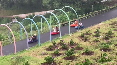 Dog Rides Luge Cart Down Hill