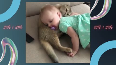 Orphaned cat takes snuggling seriously as the new big sister to her human’s baby