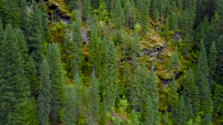 St Joe Forest and the Beauty of Idaho