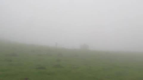 Walking up and over the Pyrenees Mountains in France/Spain