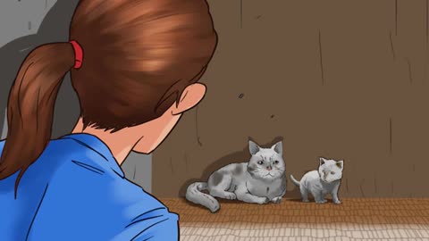 Earn the Trust of a Feral Kitten - Instructive Video