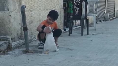 A kind hearted boy on a street in Aleppo, Syria 🇸🇾