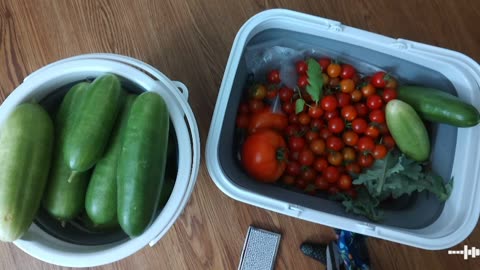 August 2024 Community Garden Haul