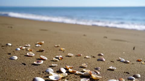 Natural Sea beach with relaxing wave sound