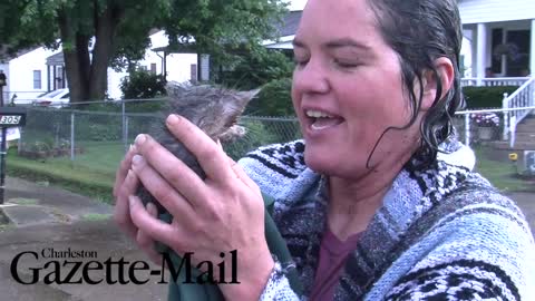 She Hears Drowning Kitten Crying For Help – Now Watch Kitten’s Reaction When He Knows He’s Saved