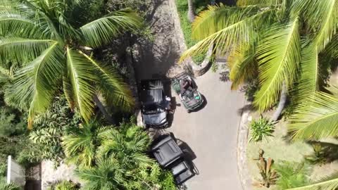 Drone Footage of Jeffrey Epstein Still Alive?