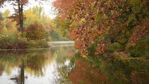 Beautiful relaxing river sounds