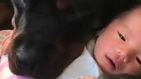 Cute baby with dog video slipping together made for each other