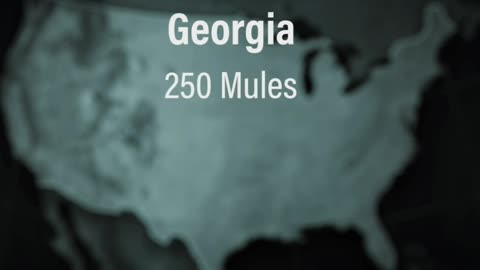 The numbers - Trump should have had 305 electoral votes.