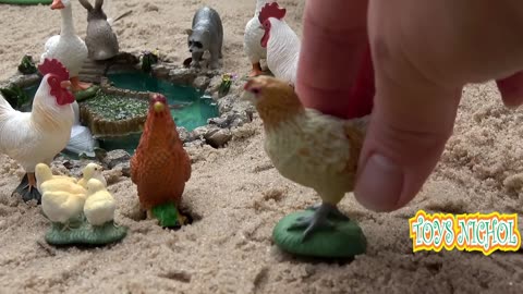 Cat Sits Watching the Chicken Eggs so that the Snake doesn't Disturb Them