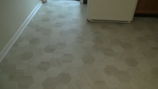 Installation of 30 sq yds of Mannington Sheet Vinyl,Silver series, style Hive, in a Kitchen.