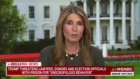 Nicolle Wallace: ‘The country has been drinking from a firehouse of Trump lies for years’