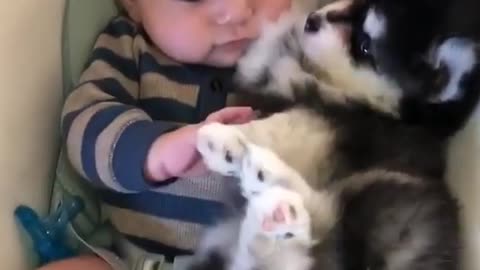 Puppy Sleeps With baby in cradle | So Cute😍😍😍😍