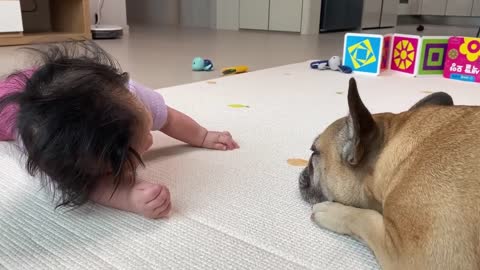 Similarities Between My Dog and Our Baby **CUTEST VIDEO