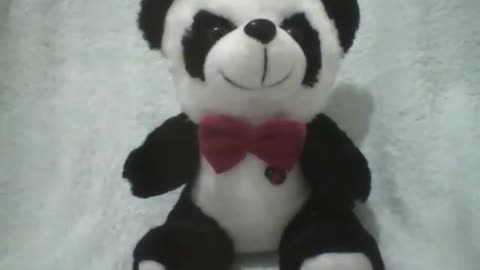 Cute black and white stuffed panda with a red tie, there's a ladybug! [Nature & Animals]