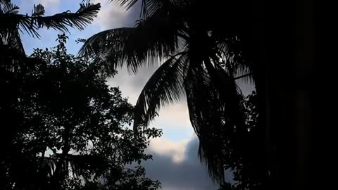 Cinematic view of Rain