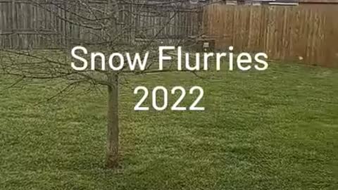 Snow Flurries