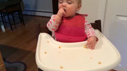 Funny Baby videos