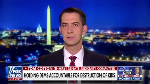 We need to hold Dems accountable for destroying our kids: Cotton