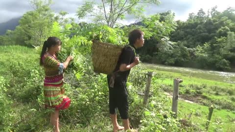 Primitive Fishing Skills Catch A Lot Of Fish - Skills Catching Fish In Rainy Season