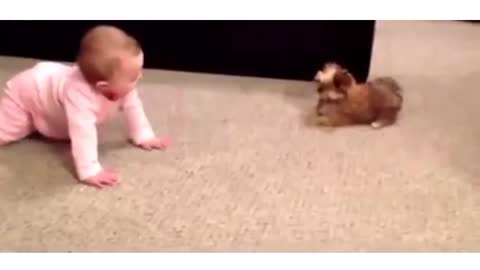 Funny cats playing with baby||Funny dog videos in 2021 #Funnydog#CuteDog#Cutspets#cutebaby