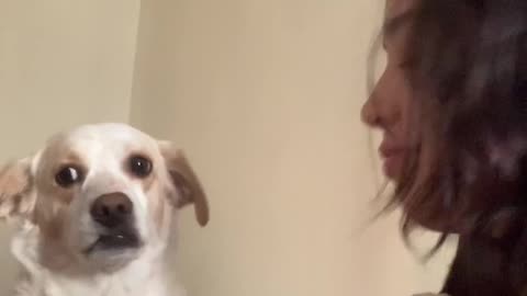 Dog Calms Woman Down