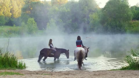 Female riders on beautiful horses come into the water, fog