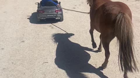 1-Year-Old Pulls Pony Behind Electric Car