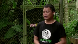 Meet Vietnam's pangolin protector