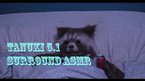 Tanuki 5.1 Surround ASMR