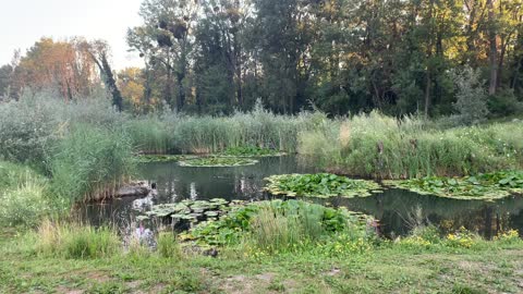 Parc des Grangettes 4