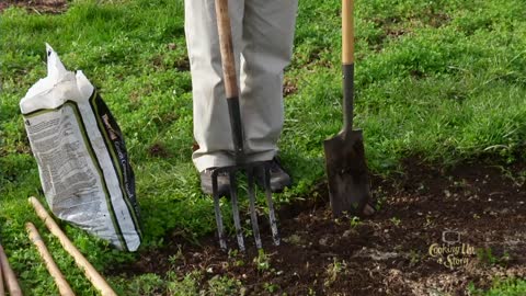 Organic Gardening Practicality