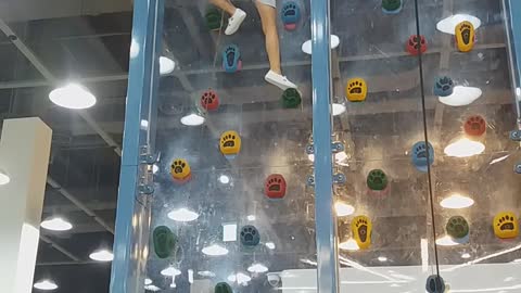 Indoor Kids Climbing Experience