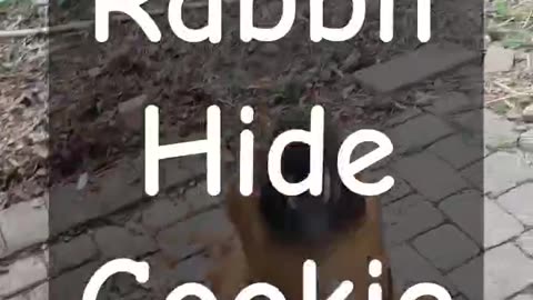 Rabbit Hide Dog Treat