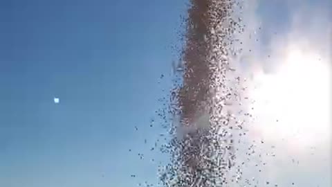 Soybean Harvest 2021, emptying grain bins