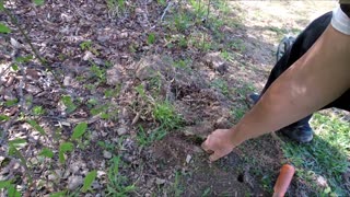 Metal detecting, Bonus footage