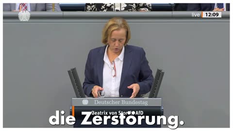 Beatrix von Storch (AfD) - Die "Familienpolitik" der Ampel zerstört unsere Gesellschaft.