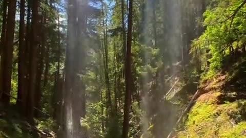 The awe-inspiring Silver Falls State Park.