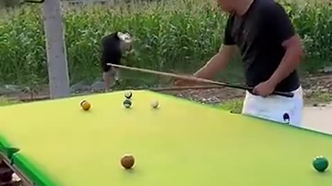 Funny Billiards million views