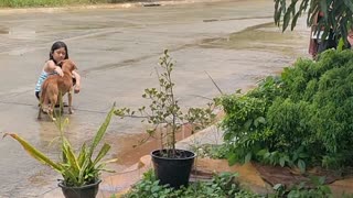 Little Girl Makes Friends with Stray Dog