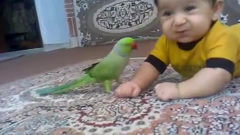 This parrot and cute baby caught my attention